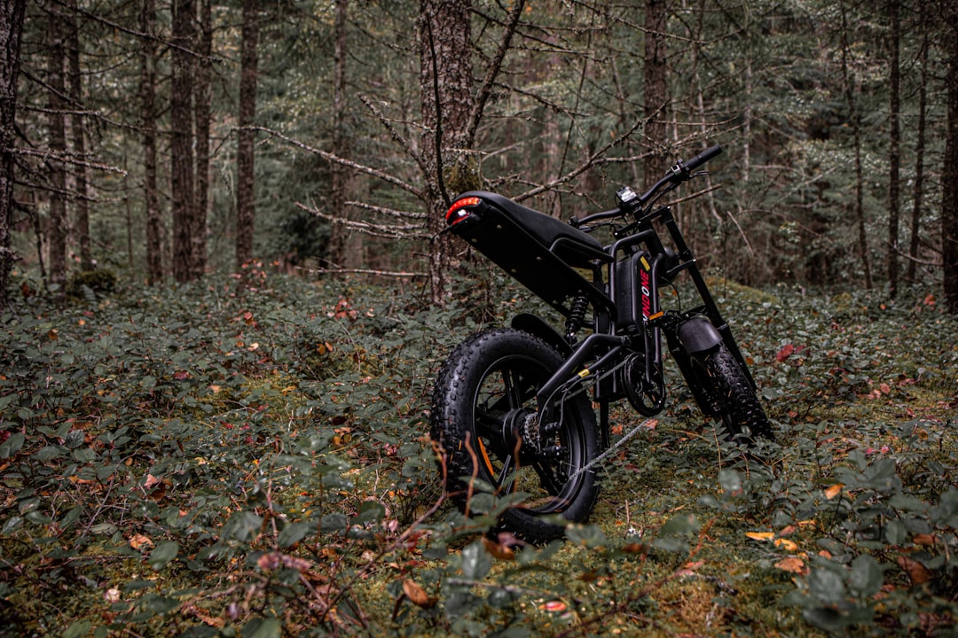 A motorcycle parked in the middle of a forest